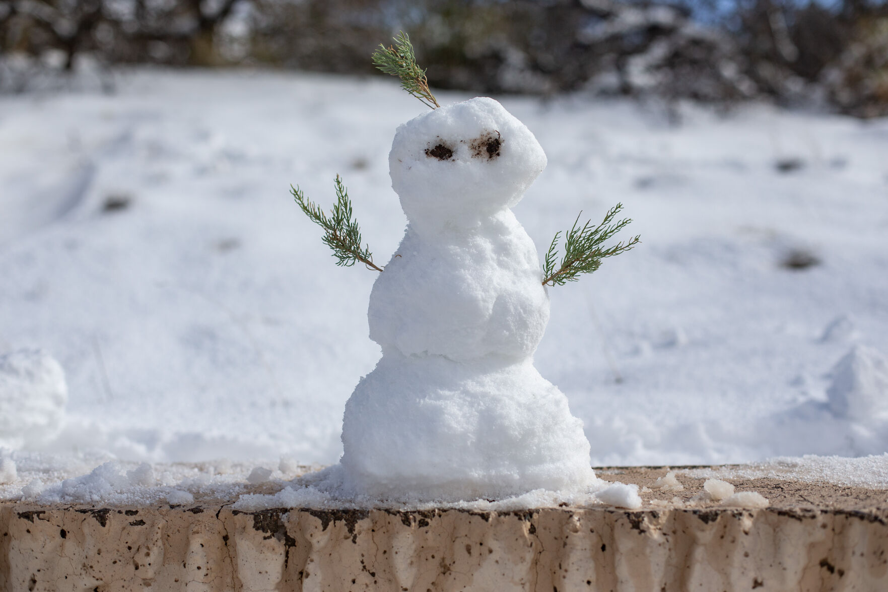 Snow